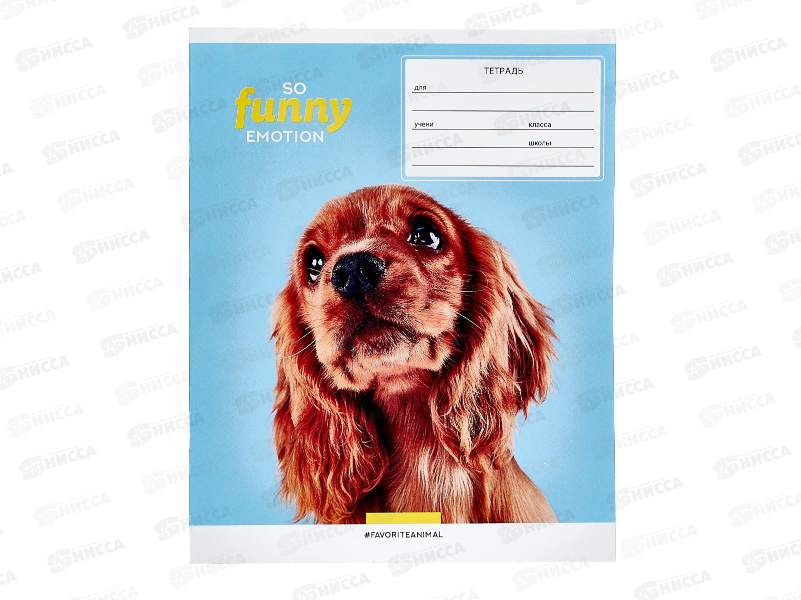 Тетрадь 18л кл. ArtSpace &quotПитомцы&quot So tunny&quot 43250*20/200