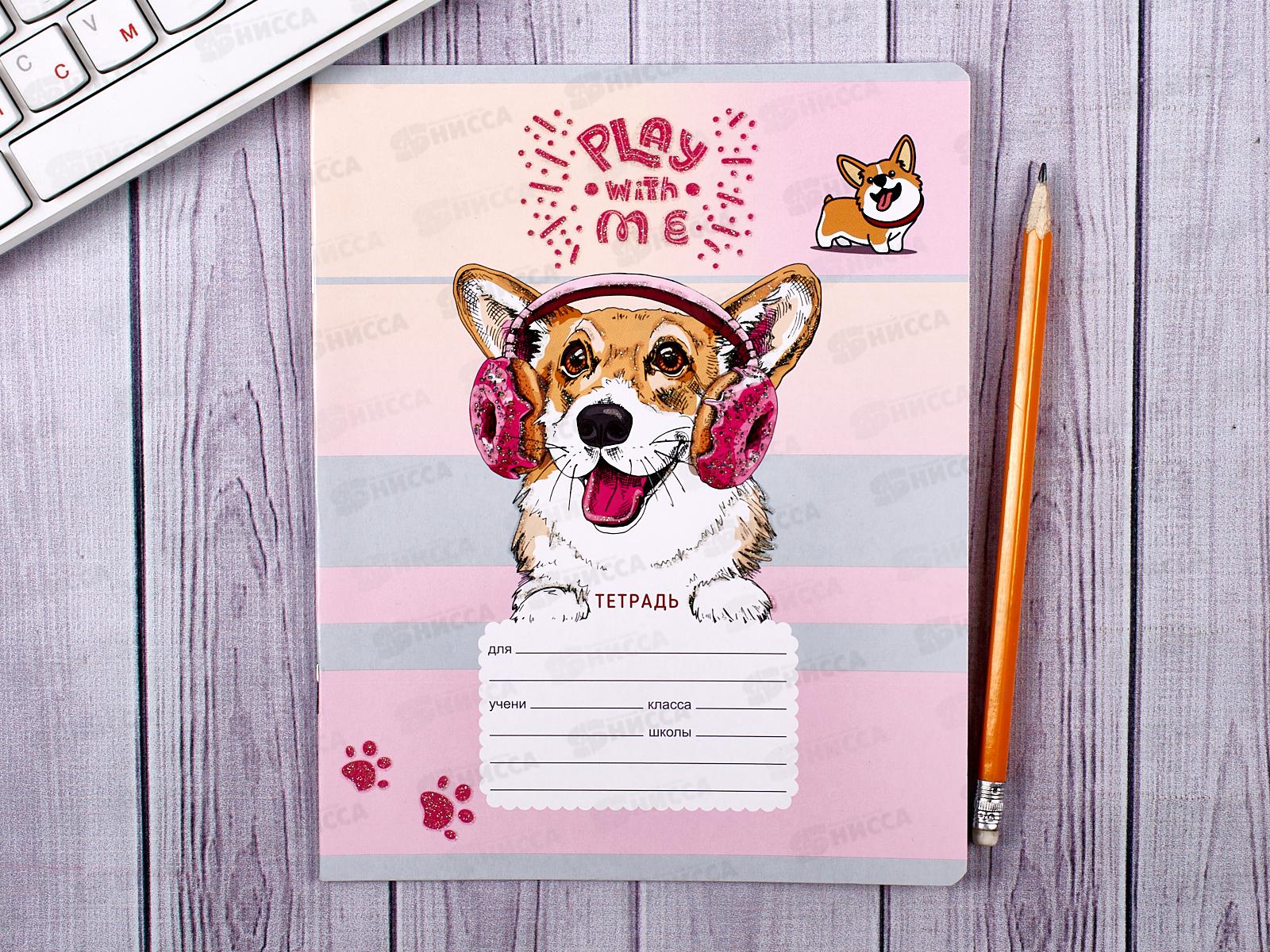 Тетрадь 18л лин BG Fun corgi 9638*20/160