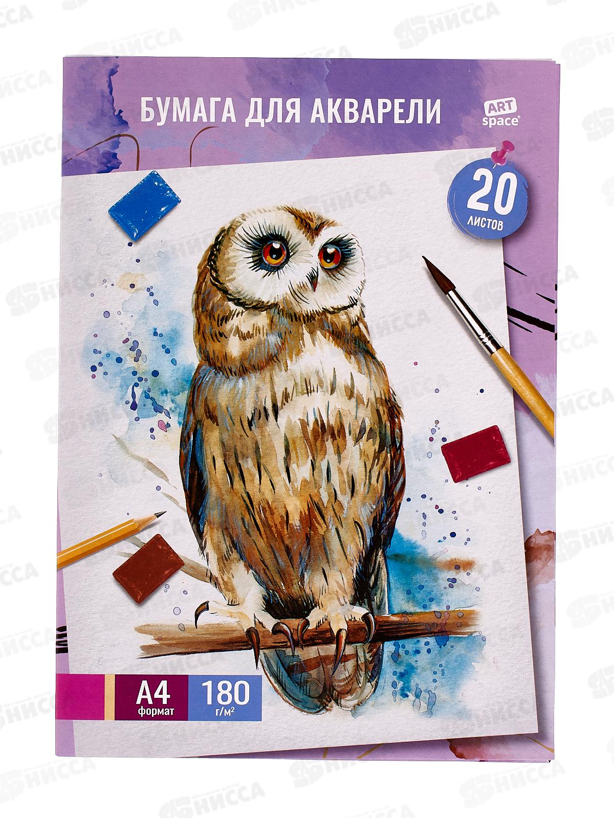 Папка для акварели ArtSpace А4, 20л Сова 41705 /25