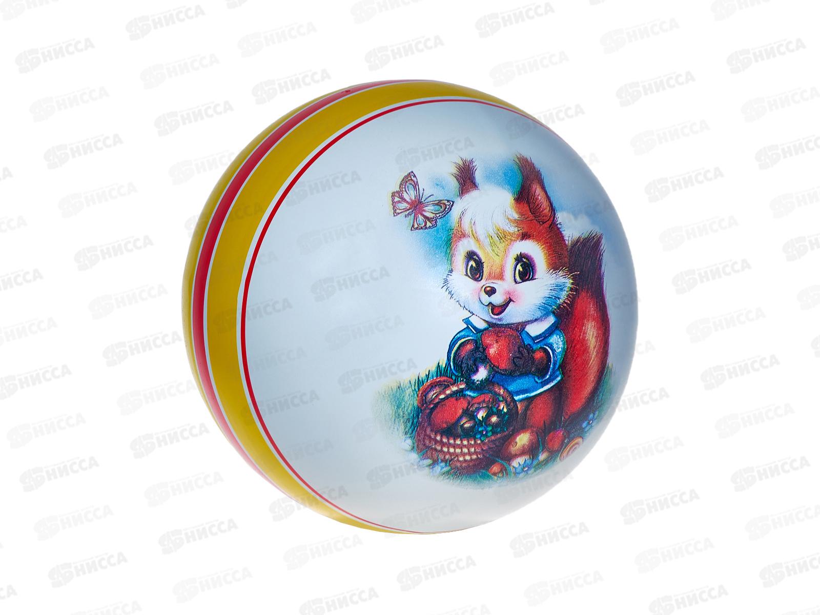 Мяч д.200мм Белочка (в ассортименте)  Р1-200  *8