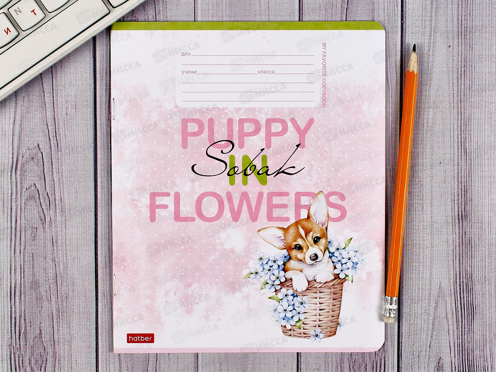 Тетрадь 12листов линия Hatber Пушистое счастье *10/140