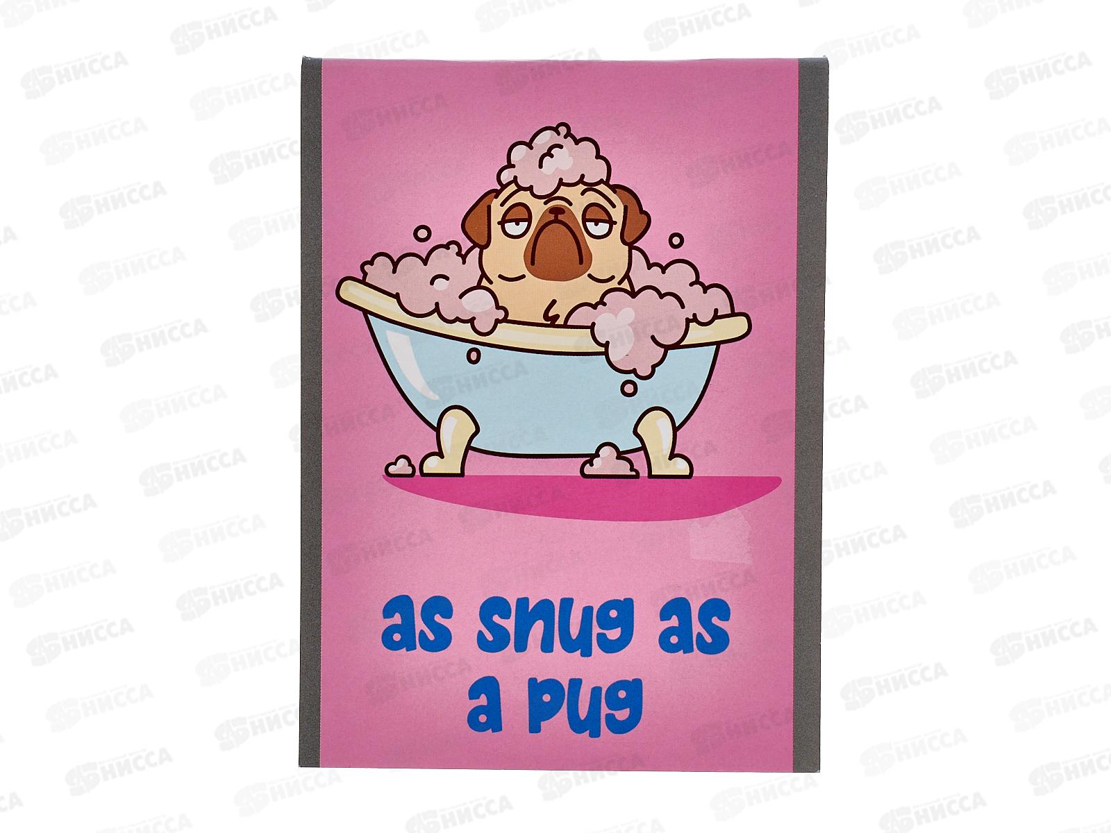 Блокнот 40л schoolФОРМАТ А6 Жизнь бульдога скреп, мел.карт.БЛ6-ЖБ *16