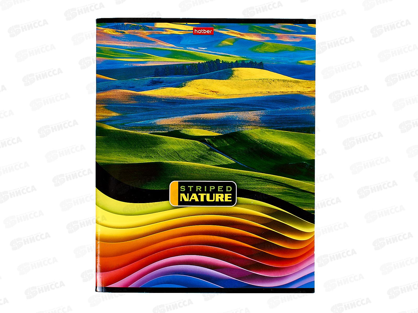 Тетрадь 96л лин. Hatber Полосатый мир *6/60