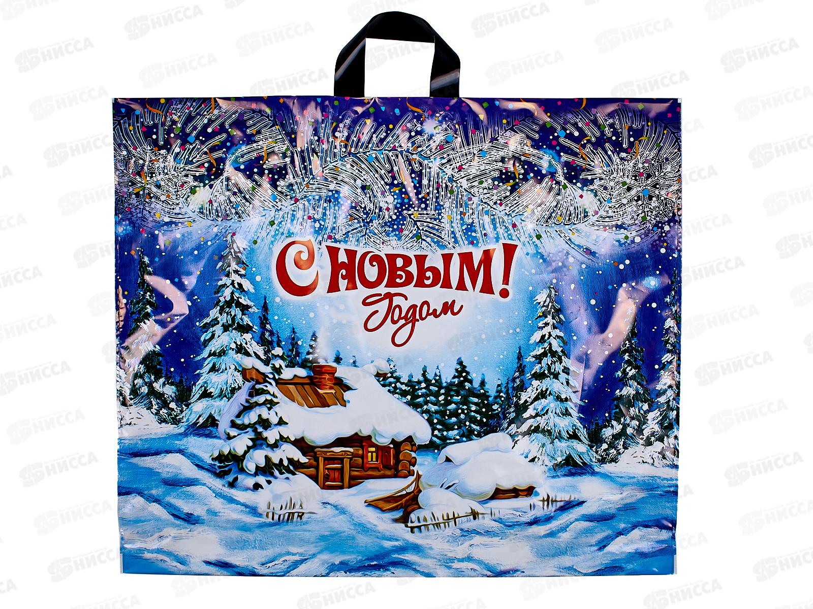 Пакет сумка  НГ 60*50  Хуторок *25/250