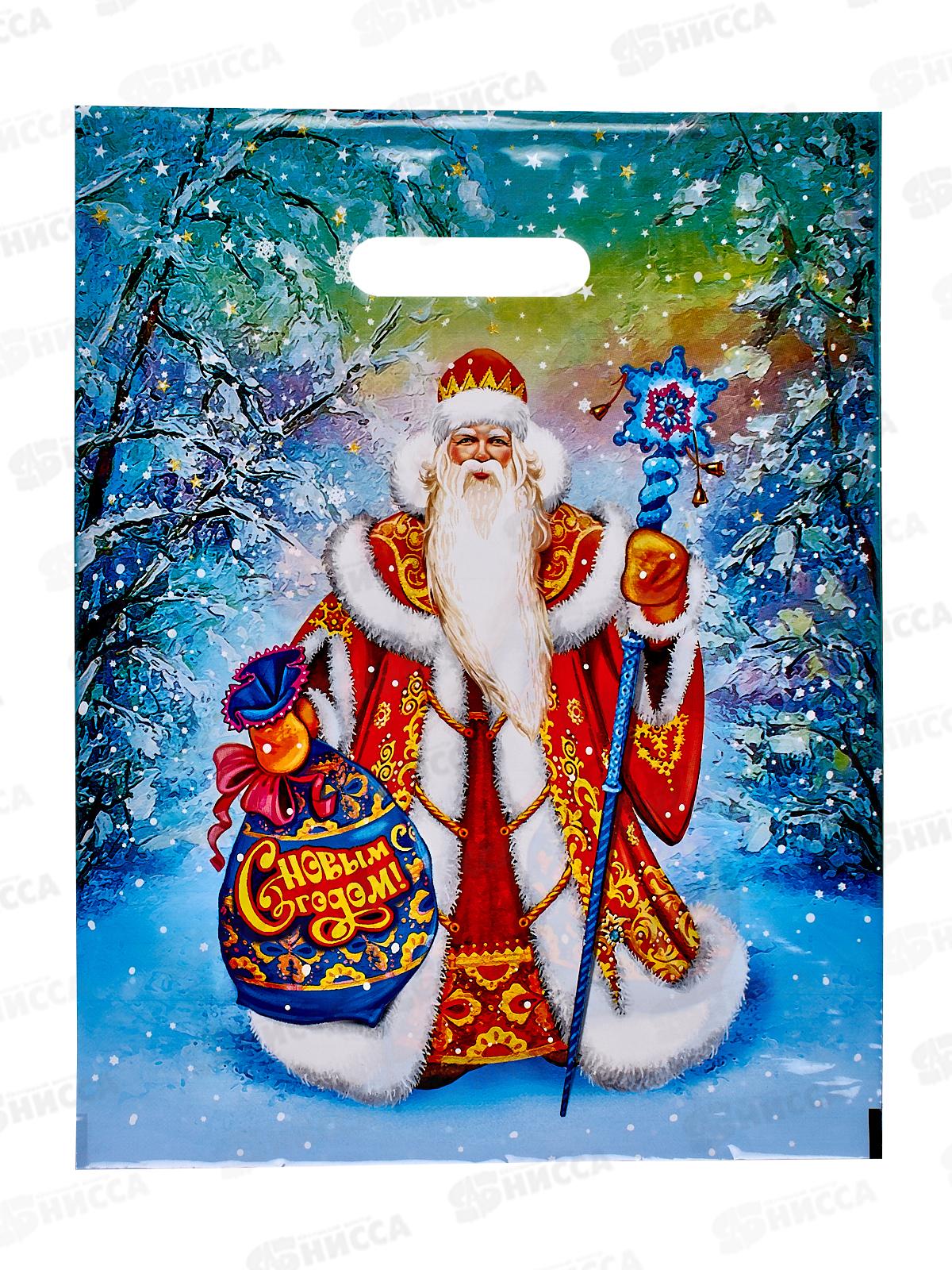 Пакет пробивной НГ 31*40 Великий устюг *50/500