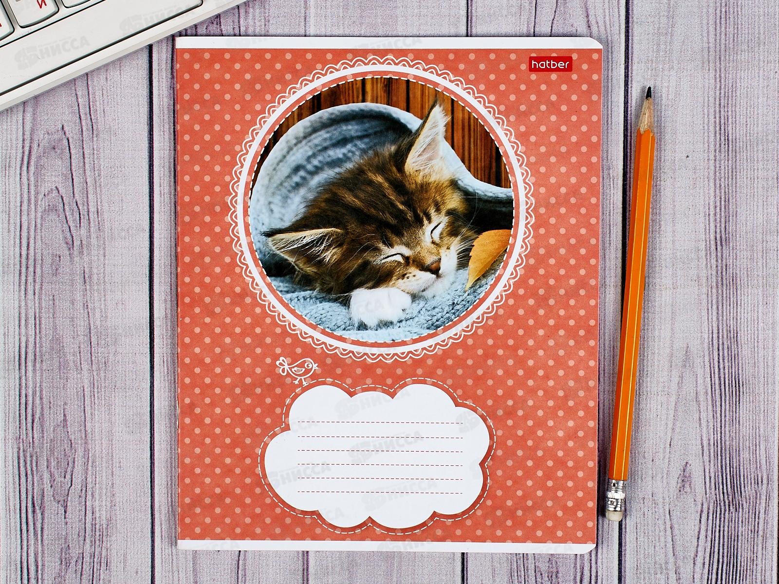 Тетрадь 18л лин. Hatber Котята*10/120