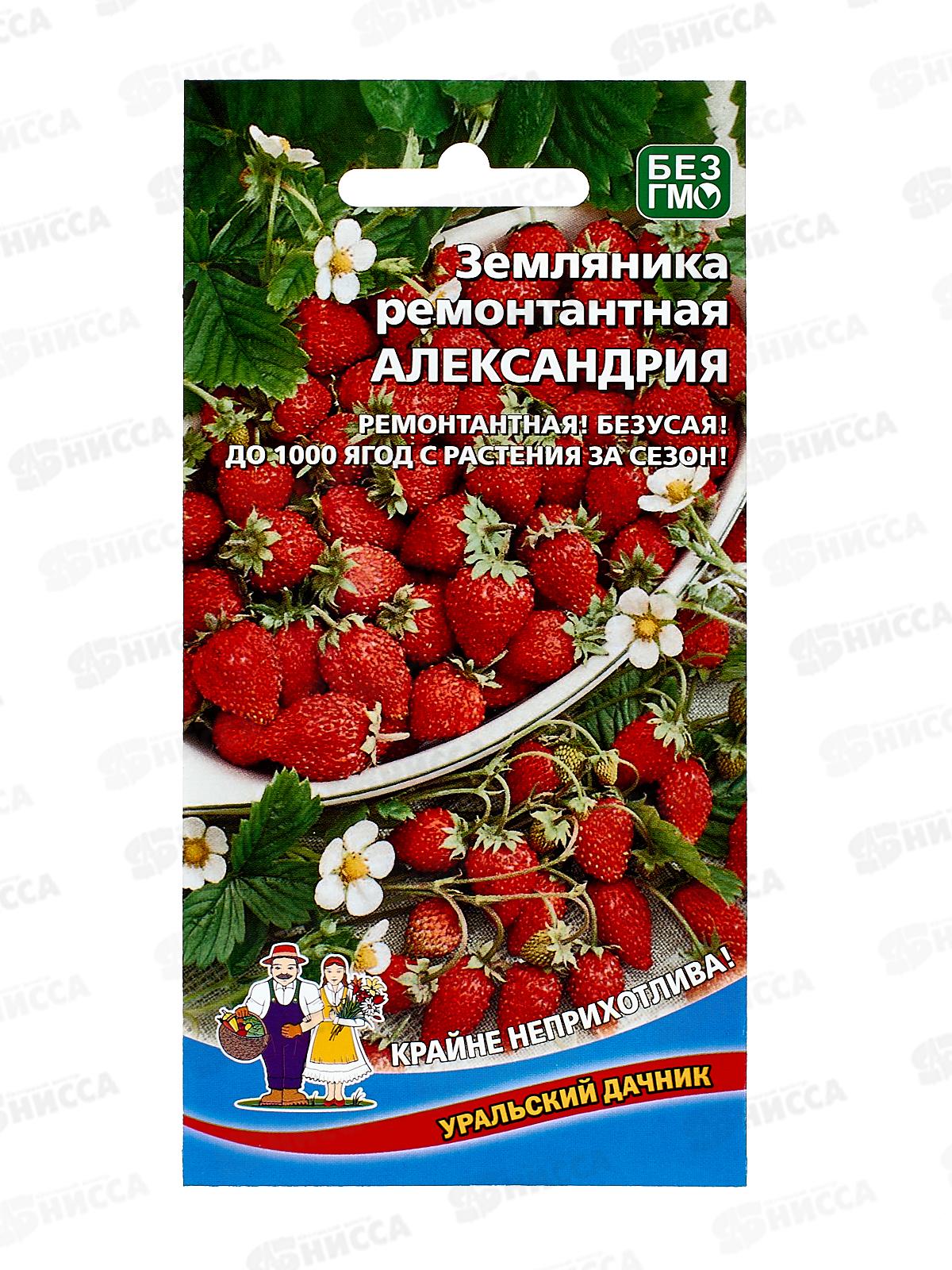 Земляника Александрия-ремонтантная  Евро *10 УрД +