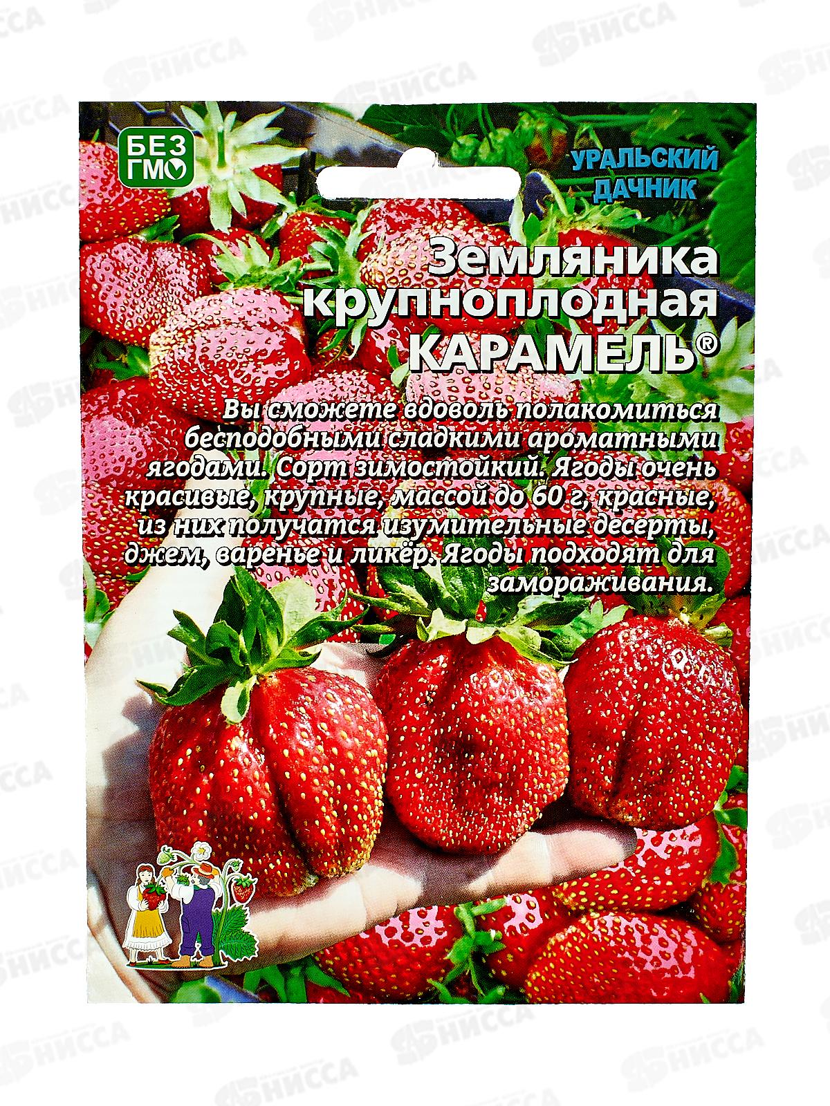 Земляника Карамель-крупноплодная  Евро *5 УрД +