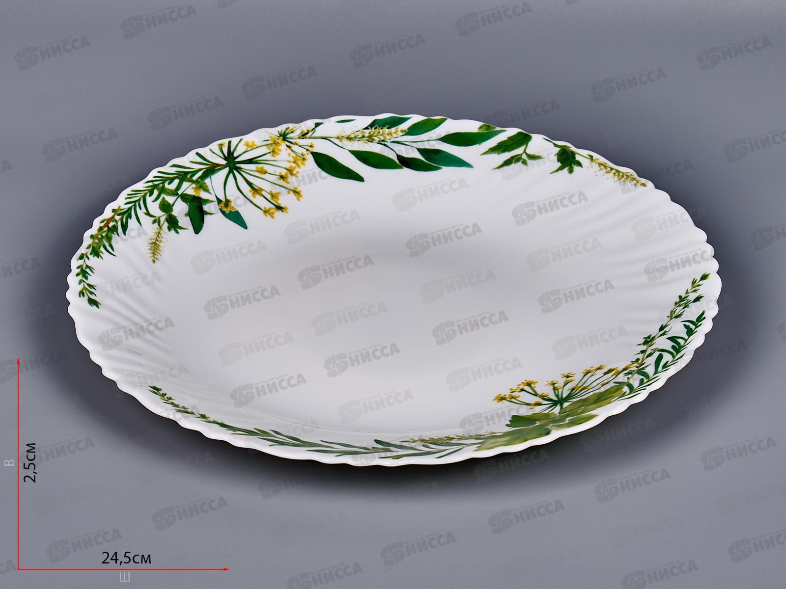 Тарелка обеденная Свежесть 24см OLHP-95/K2140