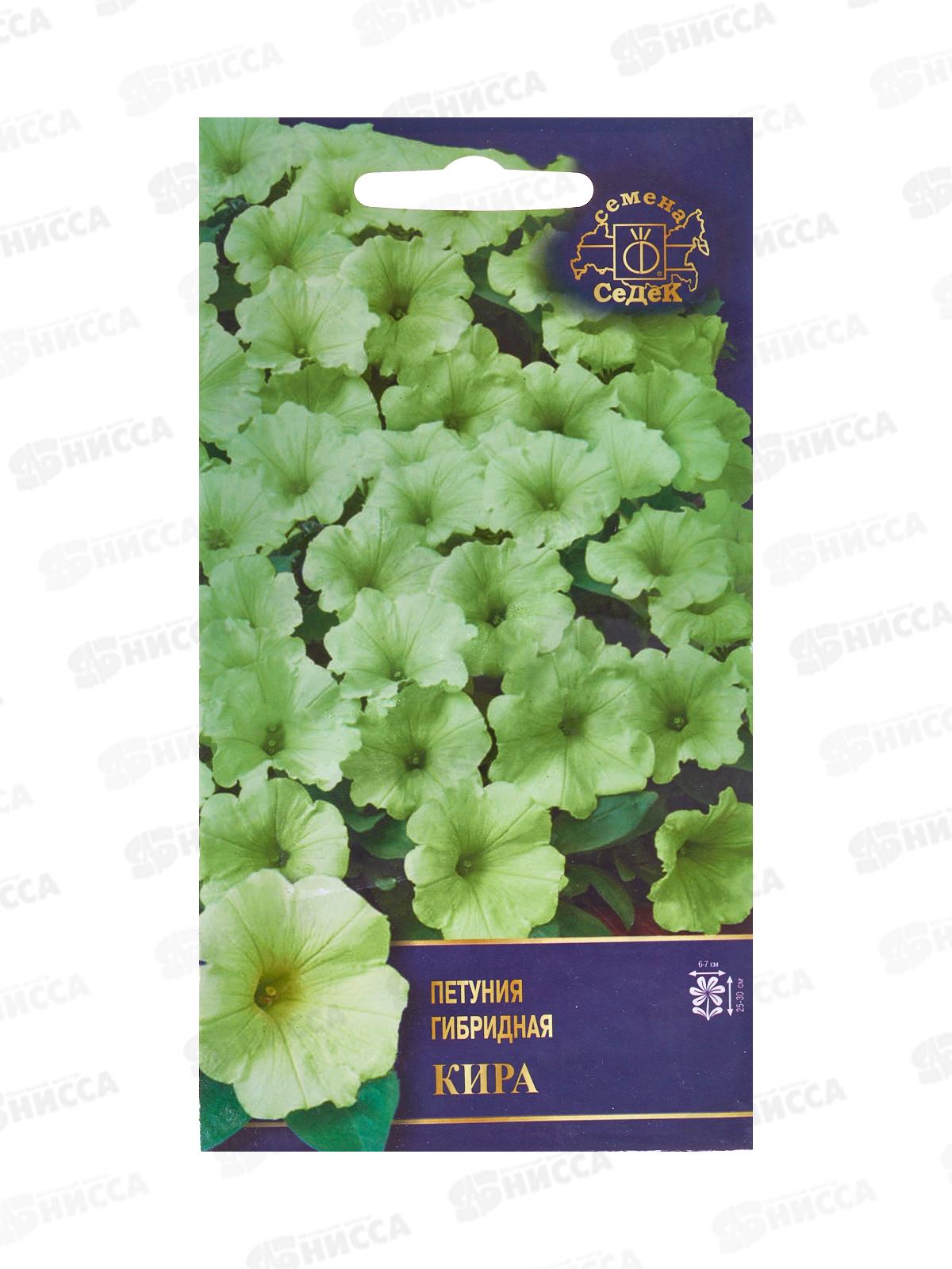 Петуния Кира F1 (сочный лайм) (Евро, 5) СеДек *5 +