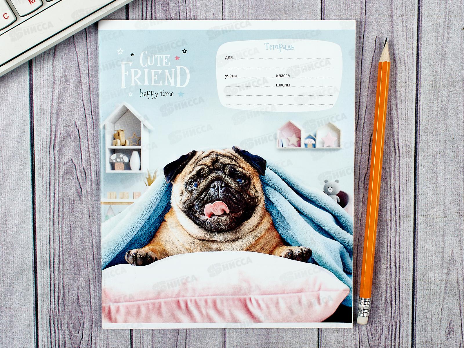 Тетрадь 24листа линия ArtSpace Питомцы Happy time 43282*18/180