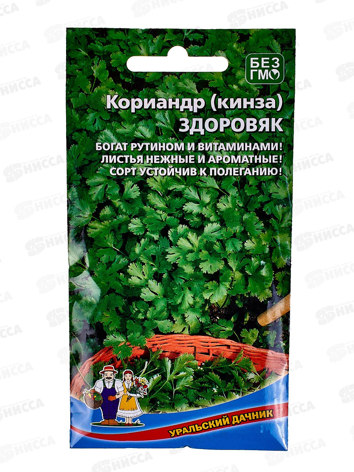 Кориандр Здоровяк (кинза) Евро  *10 УрД +