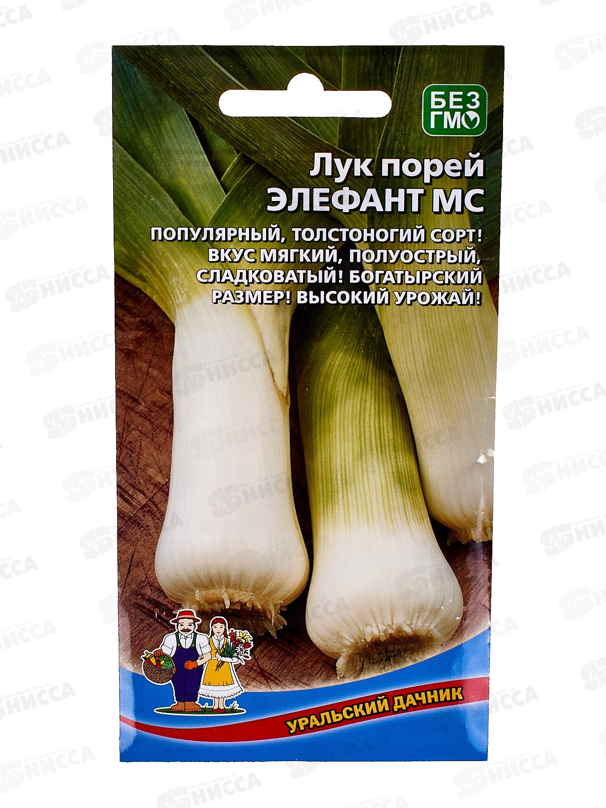 Лук порей Элефант МС Евро  *10 УрД