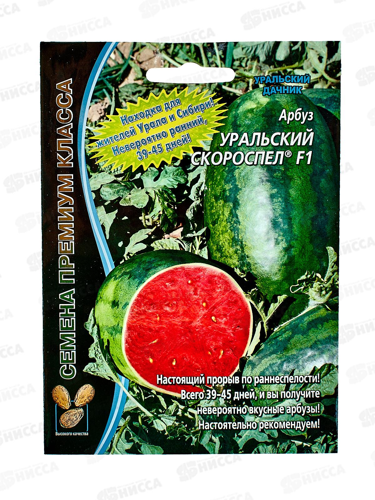 Арбуз Уральский скороспел Евро *5 УрД +