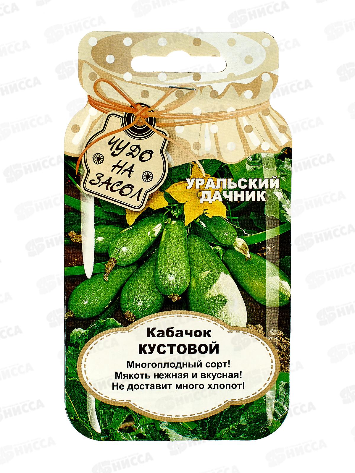 Кабачок Кустовой банка  УрД