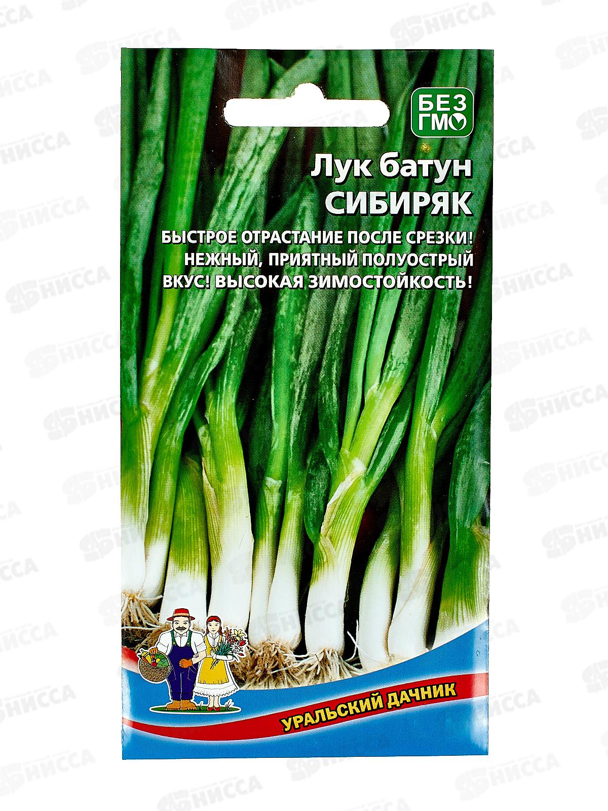 Лук батун Сибиряк Евро *10 УрД +