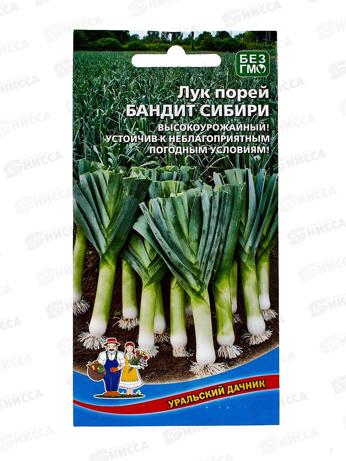 Лук порей Бандит Сибири Евро  *10 УрД +