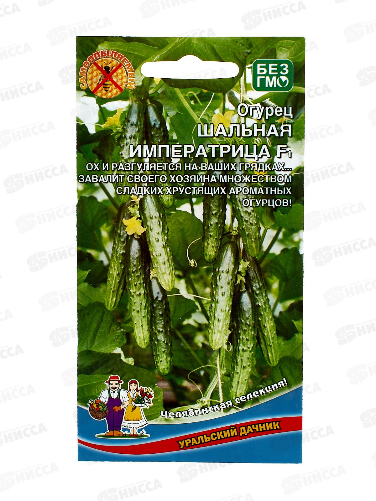 Огурец Шальная императрица - салатного типа F1 Евро *10 УрД +