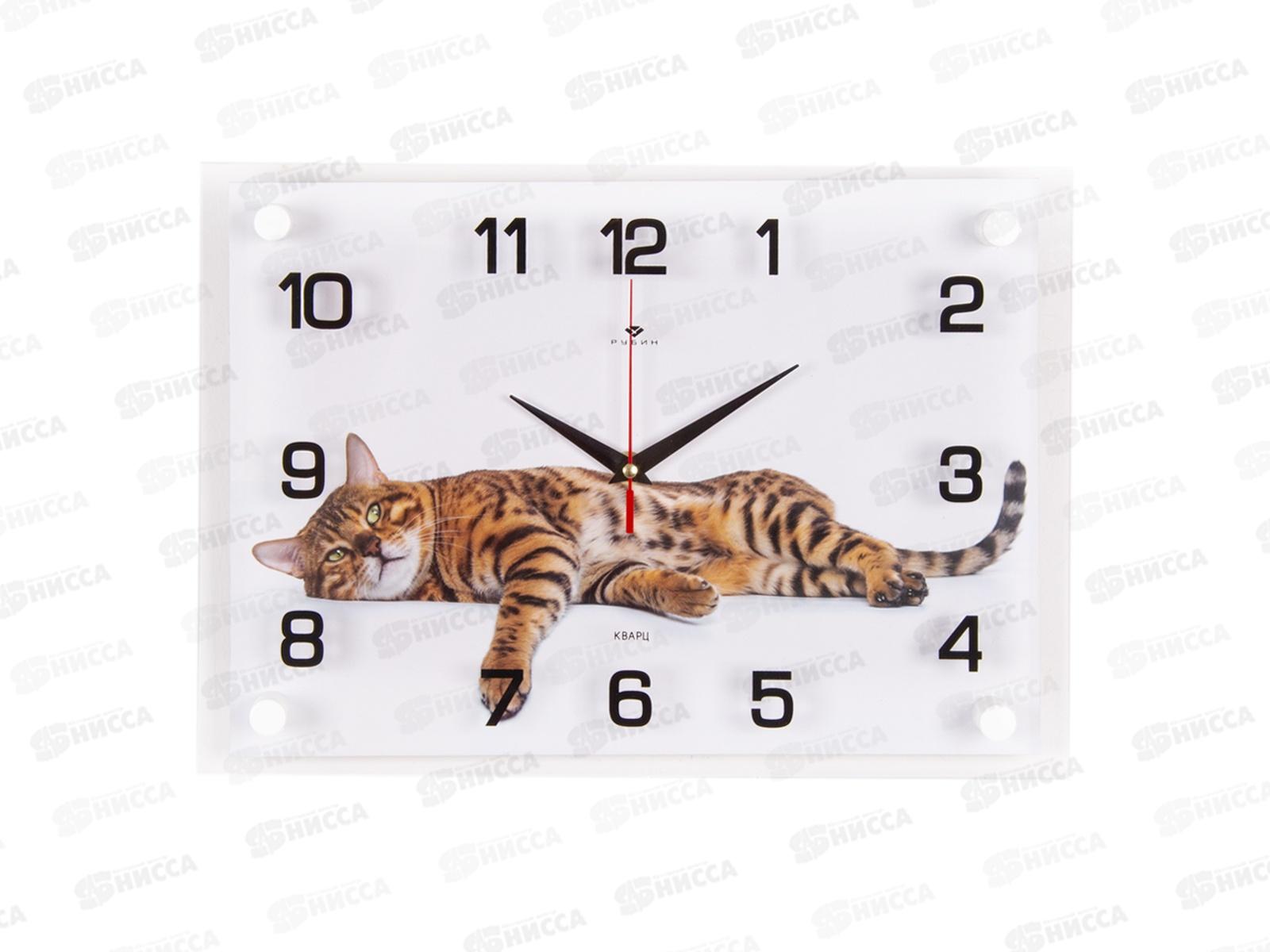 Часы настенные &quot21 Век" 2535-096 Бенгальский кот