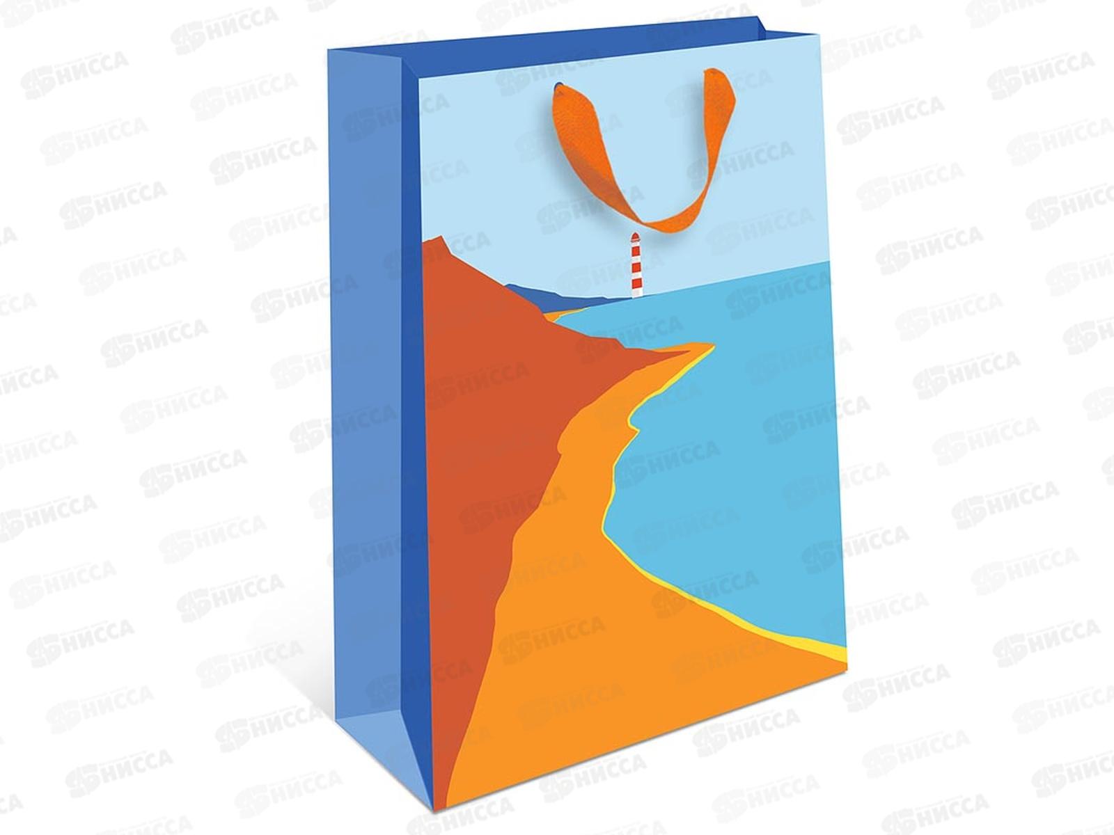 Пакет подарочный АД 18*22,3 Стандарт плюс 1312.468