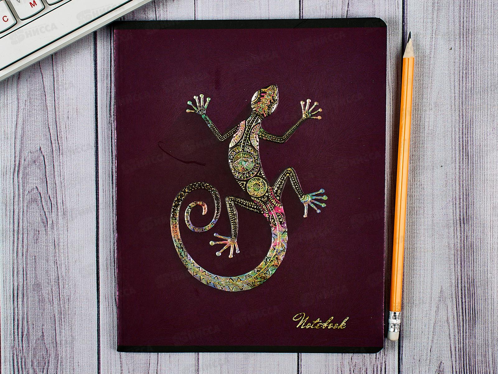 Тетрадь 48листов клетка ПЗБМ Магия цвета,028589*5/50