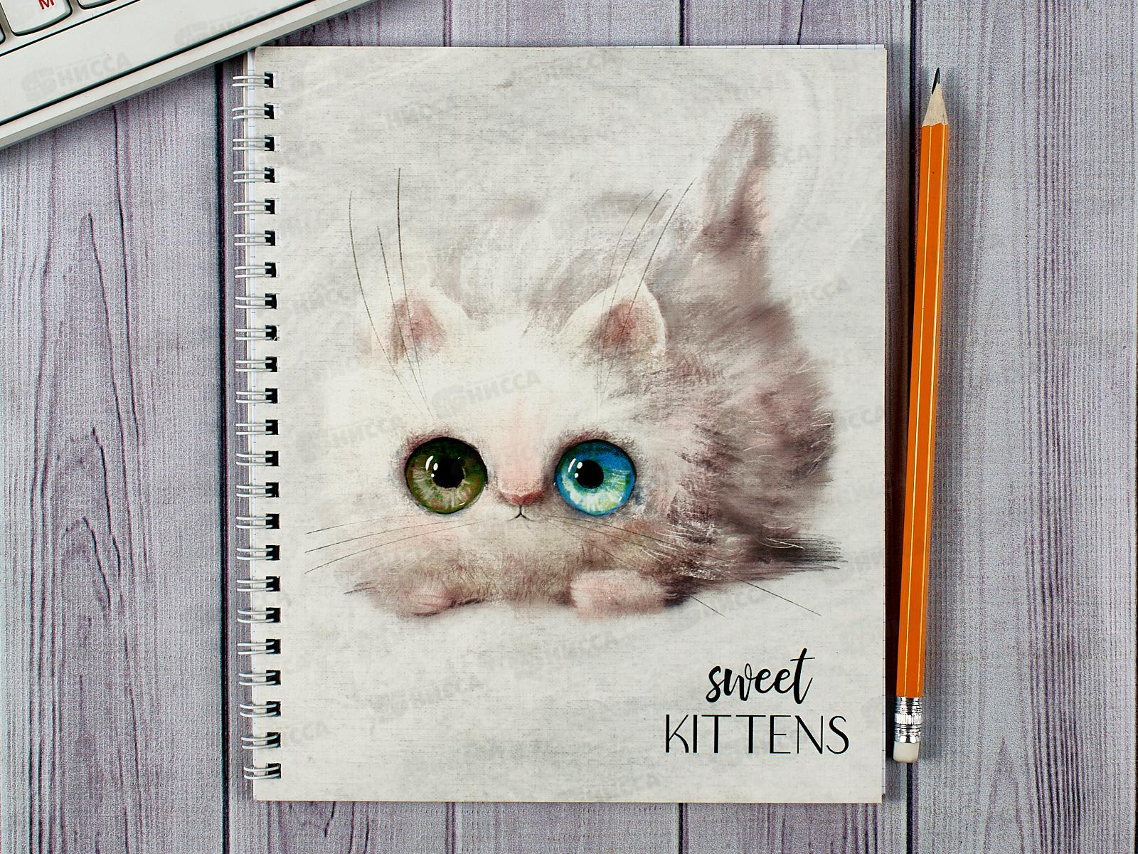 Тетрадь 48листов клетка ПЛН Глазастые котики, мет.греб., 3216-48 *30