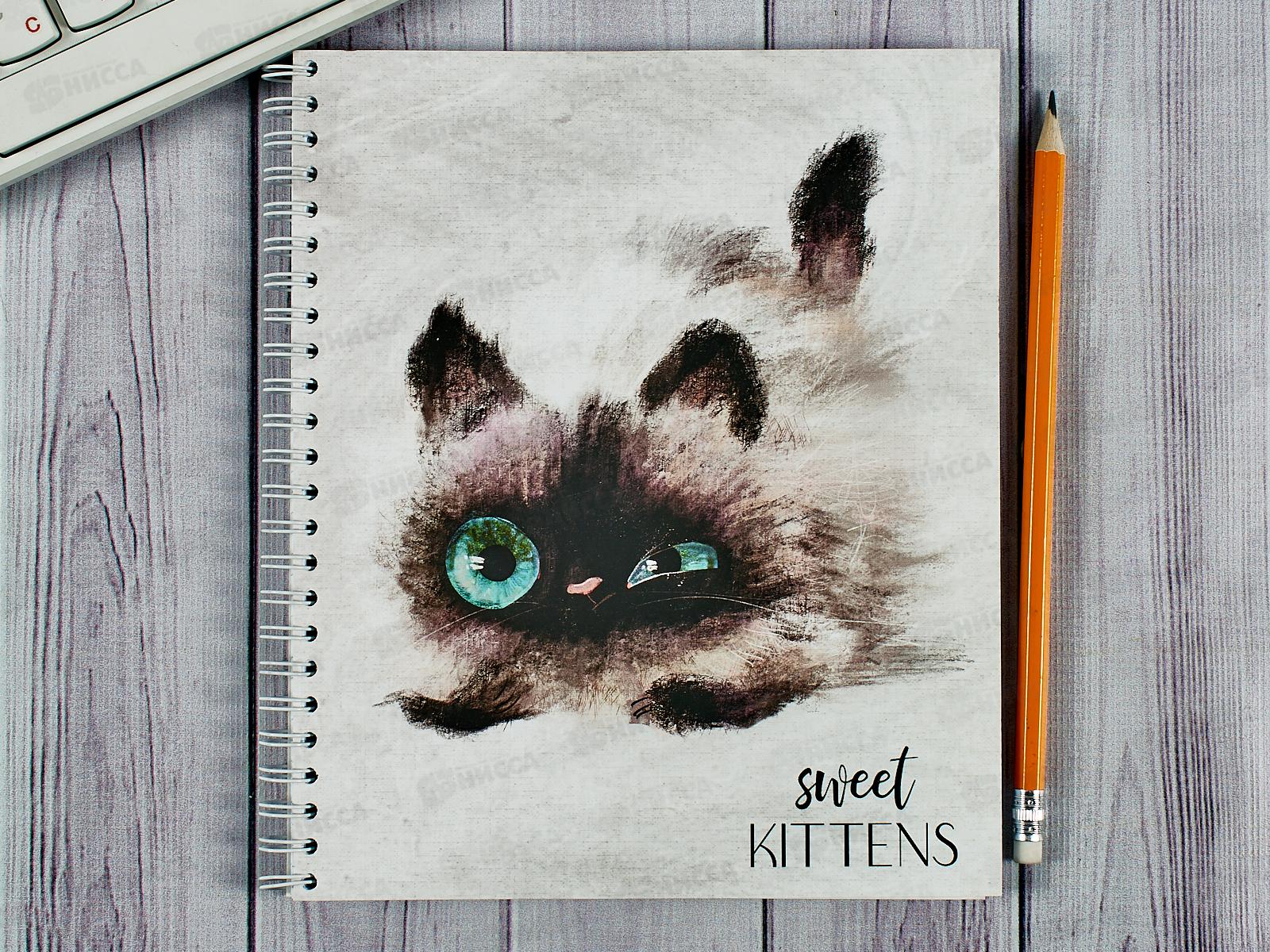 Тетрадь 96л кл. ПЛН Глазастые котики, мет.греб., 3216-96 *20