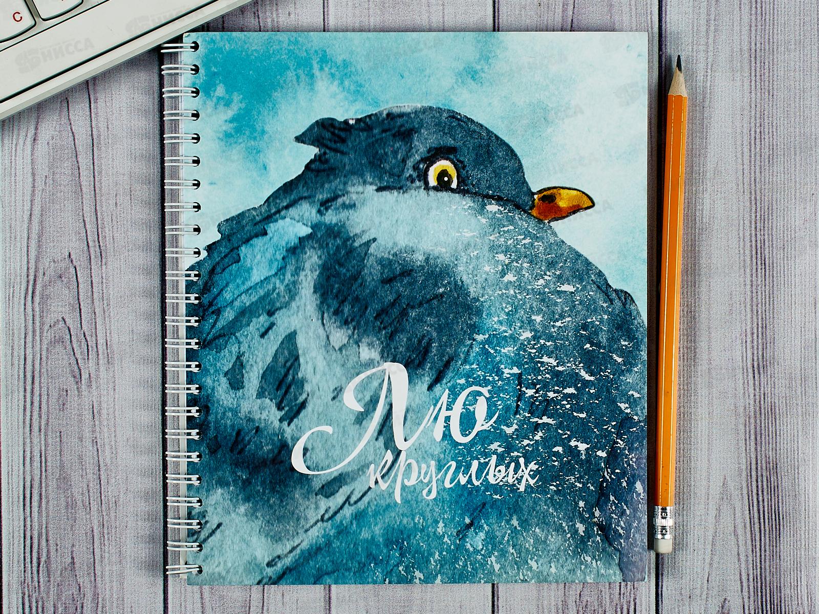 Тетрадь 96л кл. ПЛН Странные голуби, мет.греб., 3217-96 *20