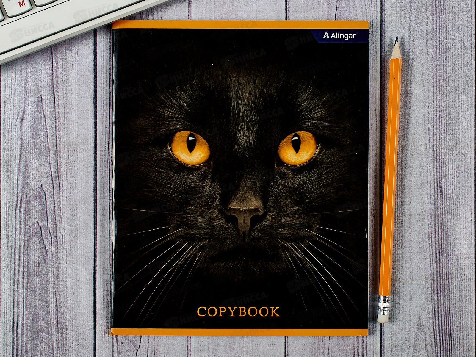 Тетрадь 48л кл. Alingar Black animals, мел, 4 дизайна.,  AL8768 *8/80