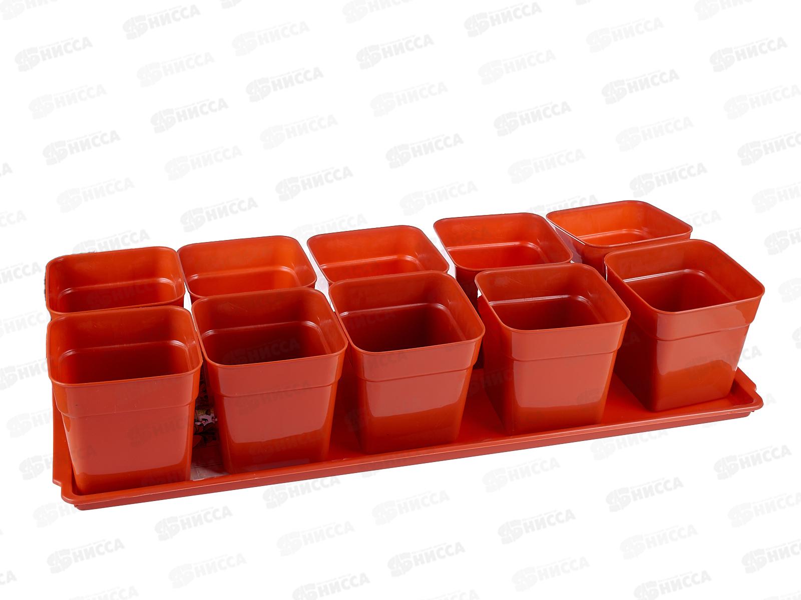 Набор для рассады &quotДачник-1&quot 10ст*600мл терракотовый *5