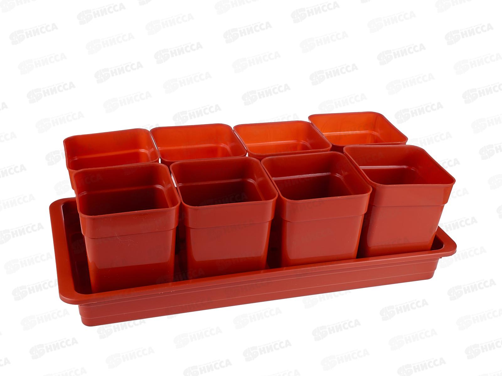 Набор для рассады &quotДачник-2&quot 8ст*900мл терракотовый *5