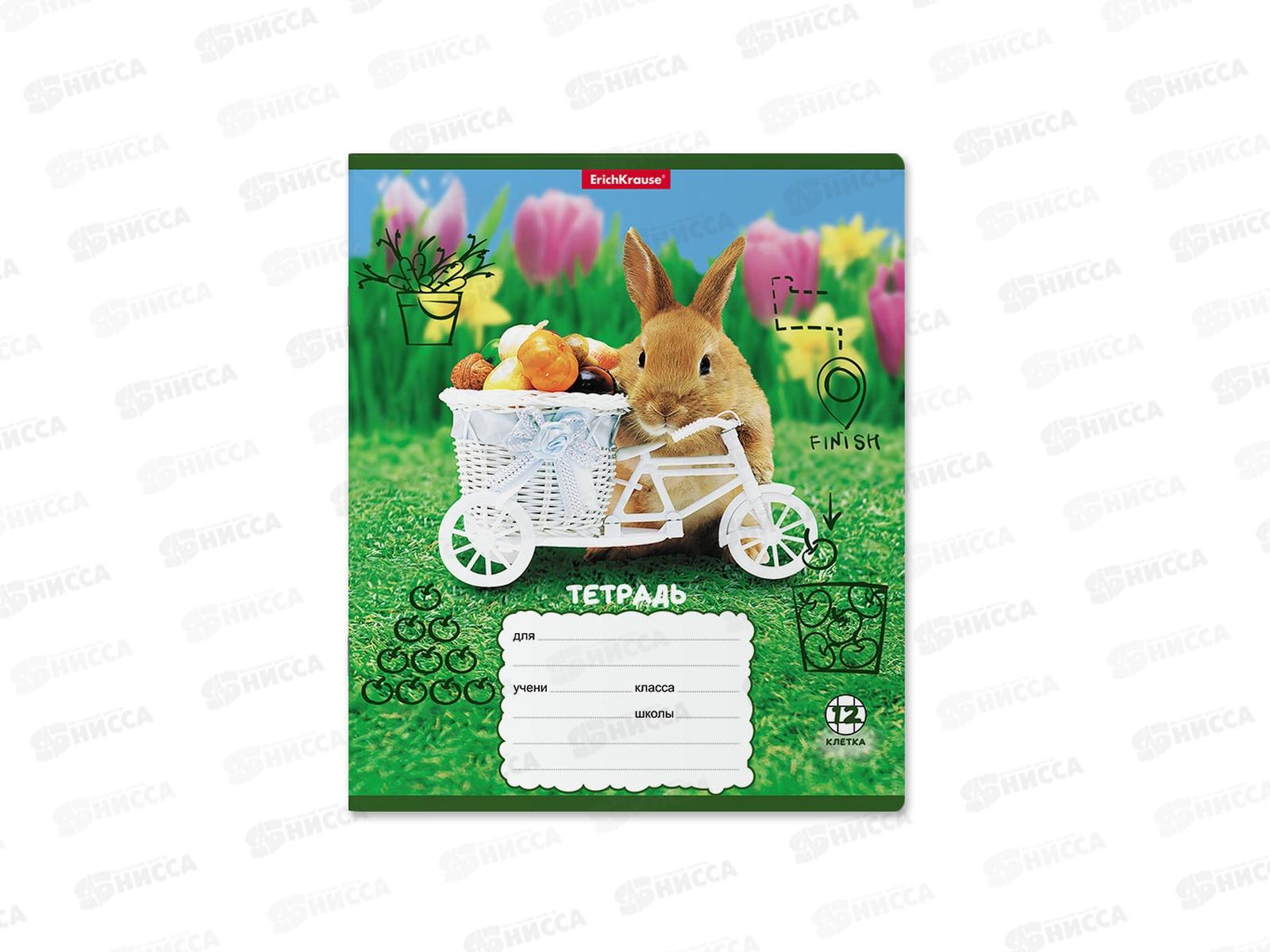 Тетрадь 12листов клетка ПОЛИ Кролики, 58245 *10/280