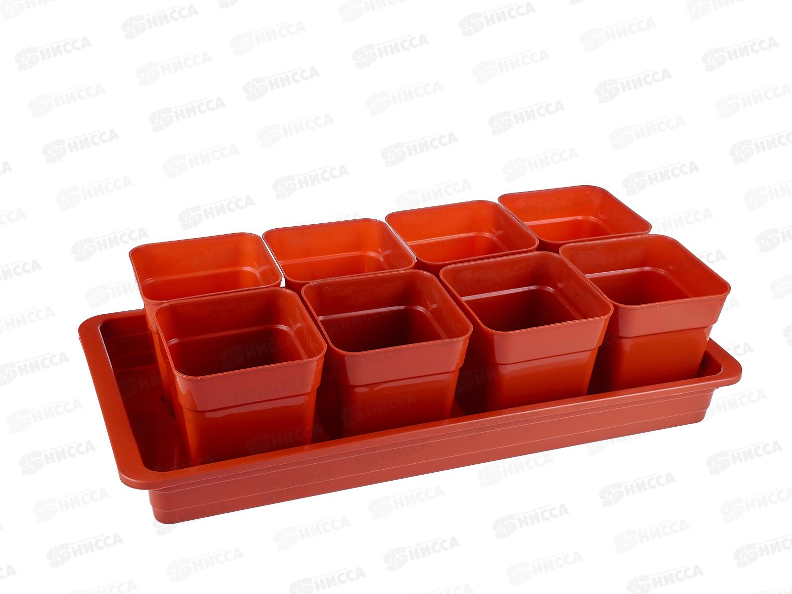 Набор для рассады "Дачник-2" 8ст*600мл терракотовый *5