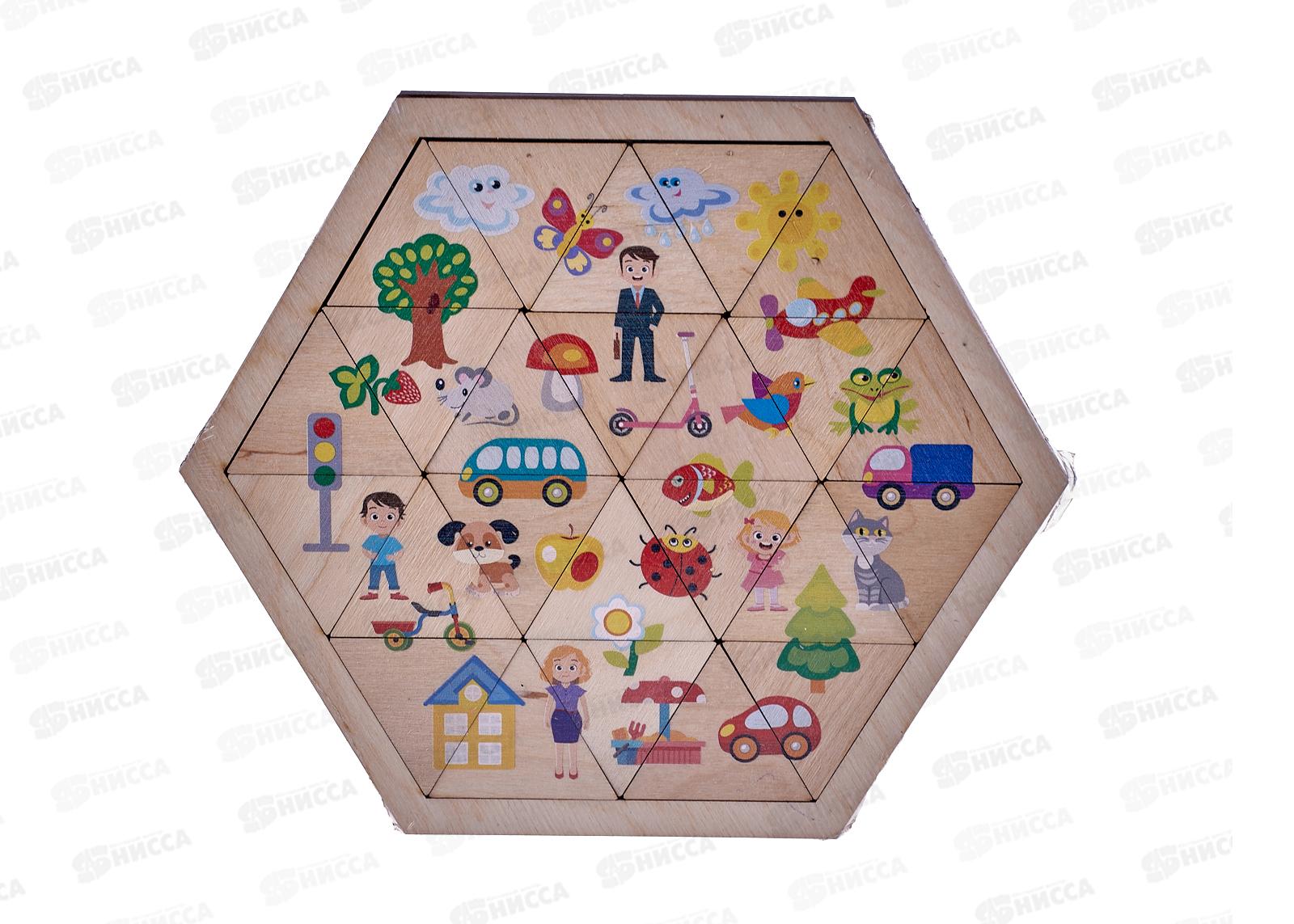 Пазл деревянный "Мир вокруг" 00777 (Занимательные треугольники)