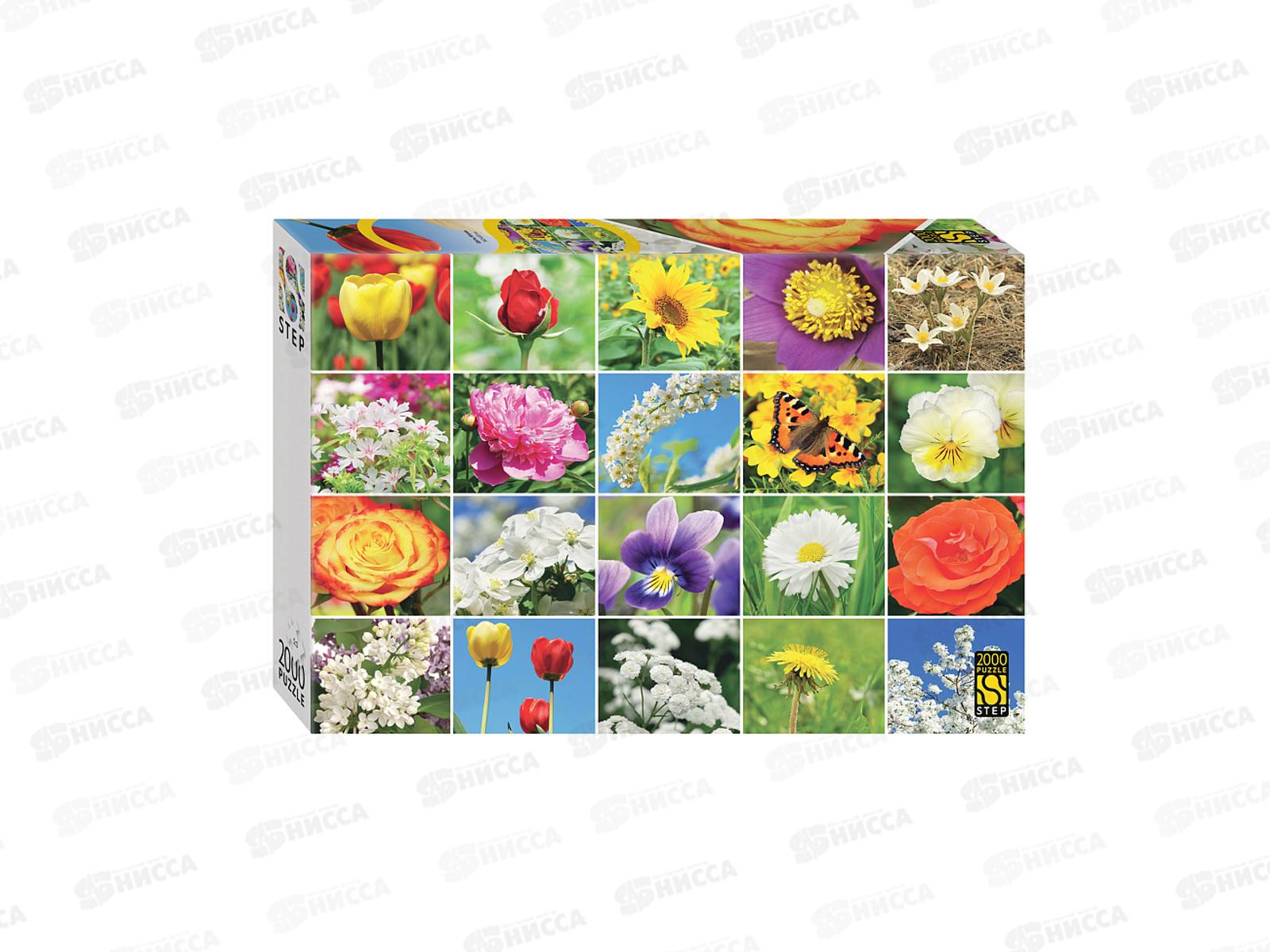 ПАЗЛЫ 2000 элементов 84052 Цветы. Коллаж *6
