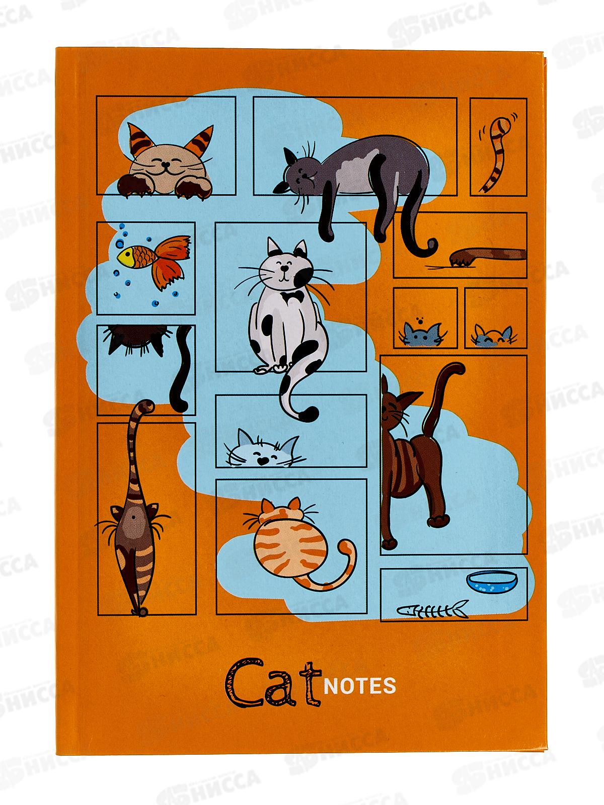 Книжка записная АКАД А5 64л Жизнь кота, 13451-EAC *20/320