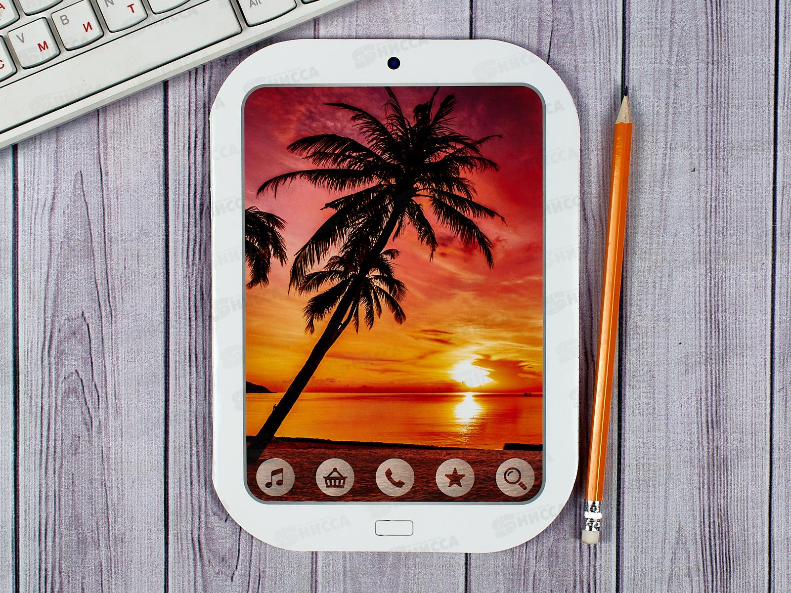 Тетрадь 40листов клетка  АКАД Микс 1, полн. УФ, EAC-10357/6*48