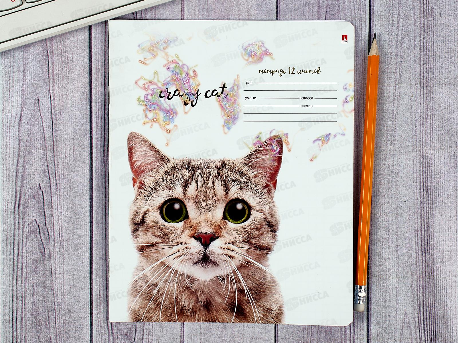 Тетрадь 12листов клетка АЛЬТ Удивительные котята,7-12-475/1*10/220