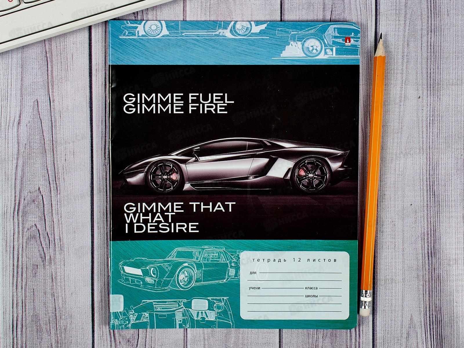 Тетрадь 12листов линия АЛЬТ Форсаж,7-12-474/2*10/220