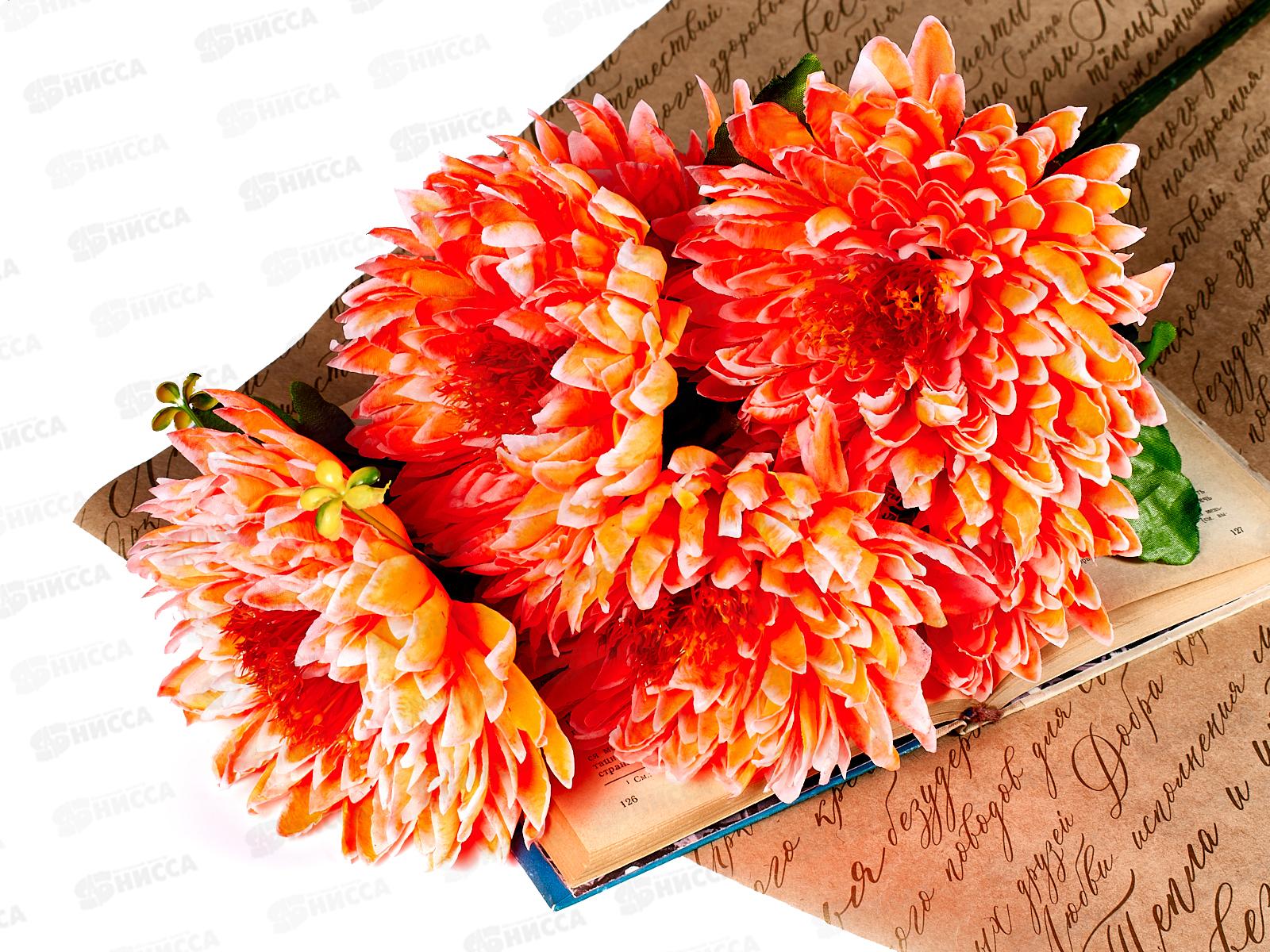 Букет астр 6голов 65см микс А-10 *2*16