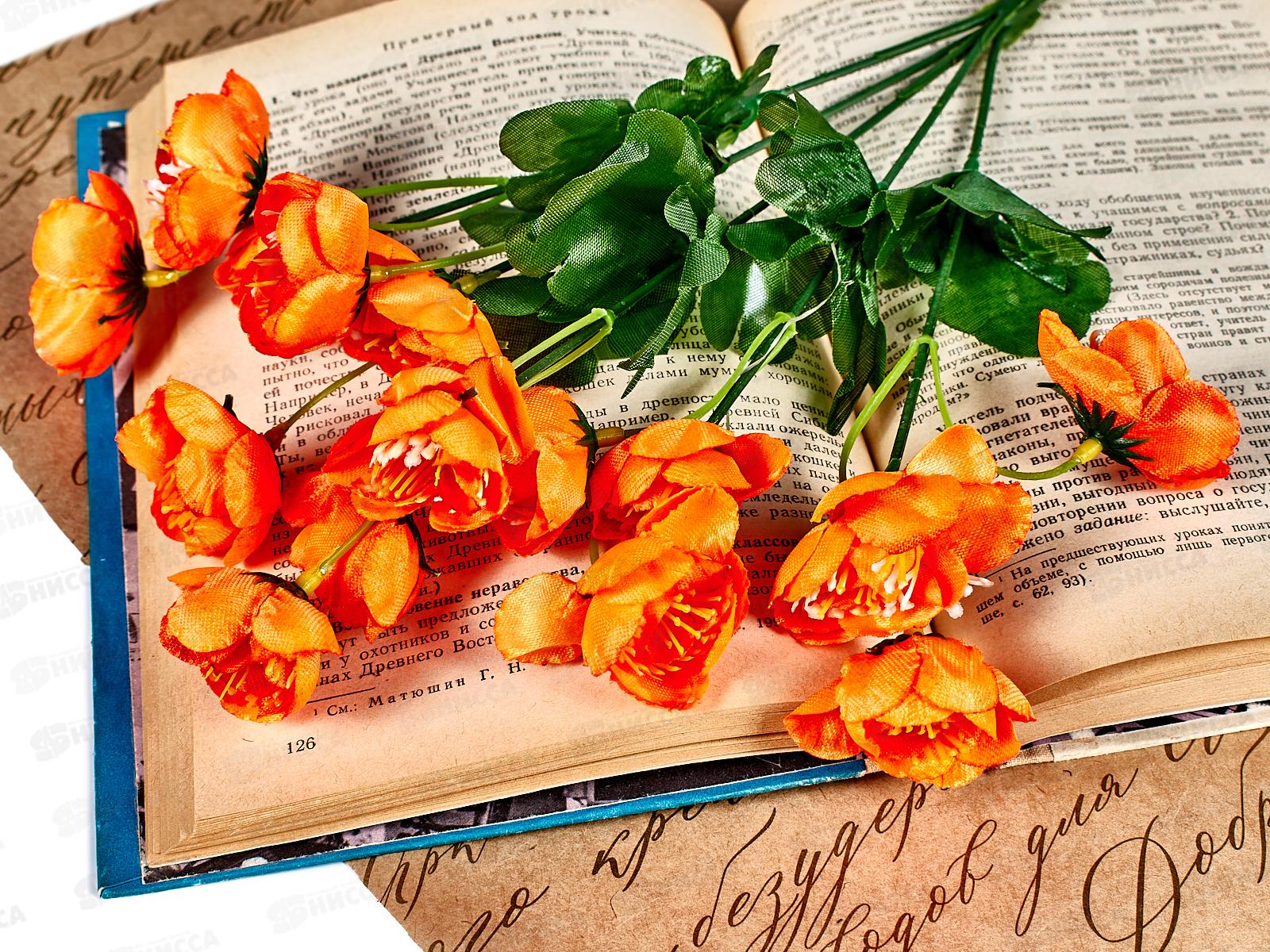 Букет огоньков 30см 5голов №42 *1*40