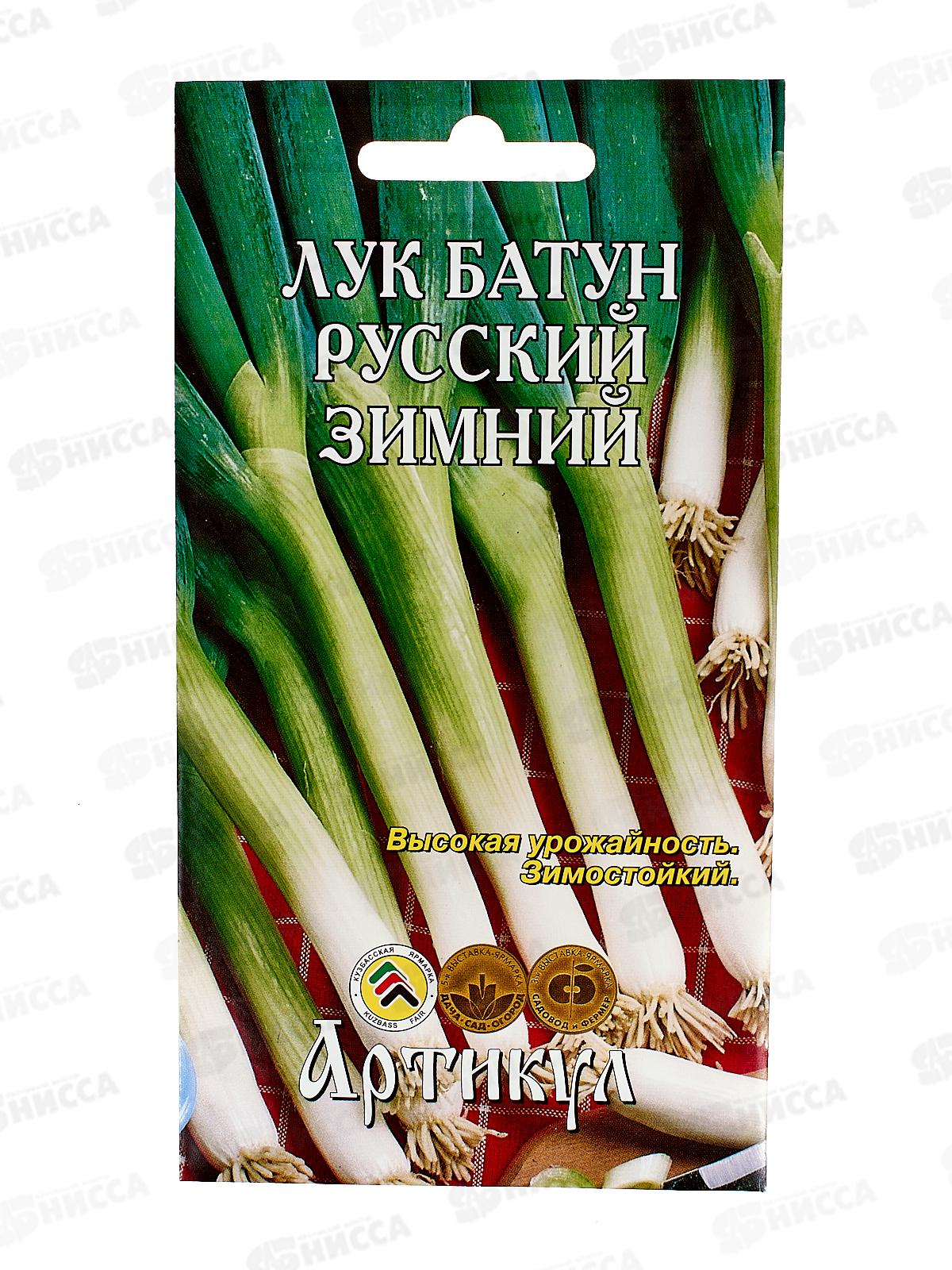 Лук батун Русский зимний 0,5г цв/п *10  АРТ +