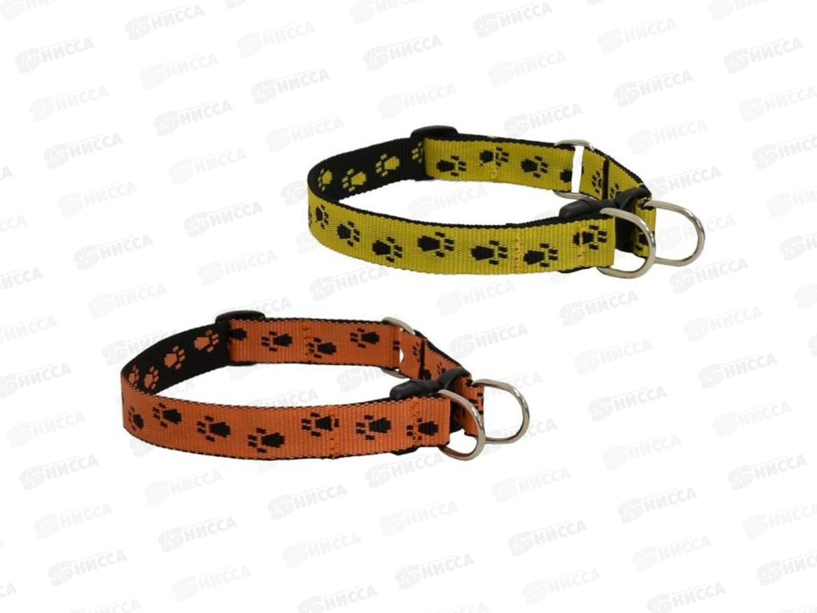 Ошейник ZooMoDa капроновый  20 с 2 кольцами 91622