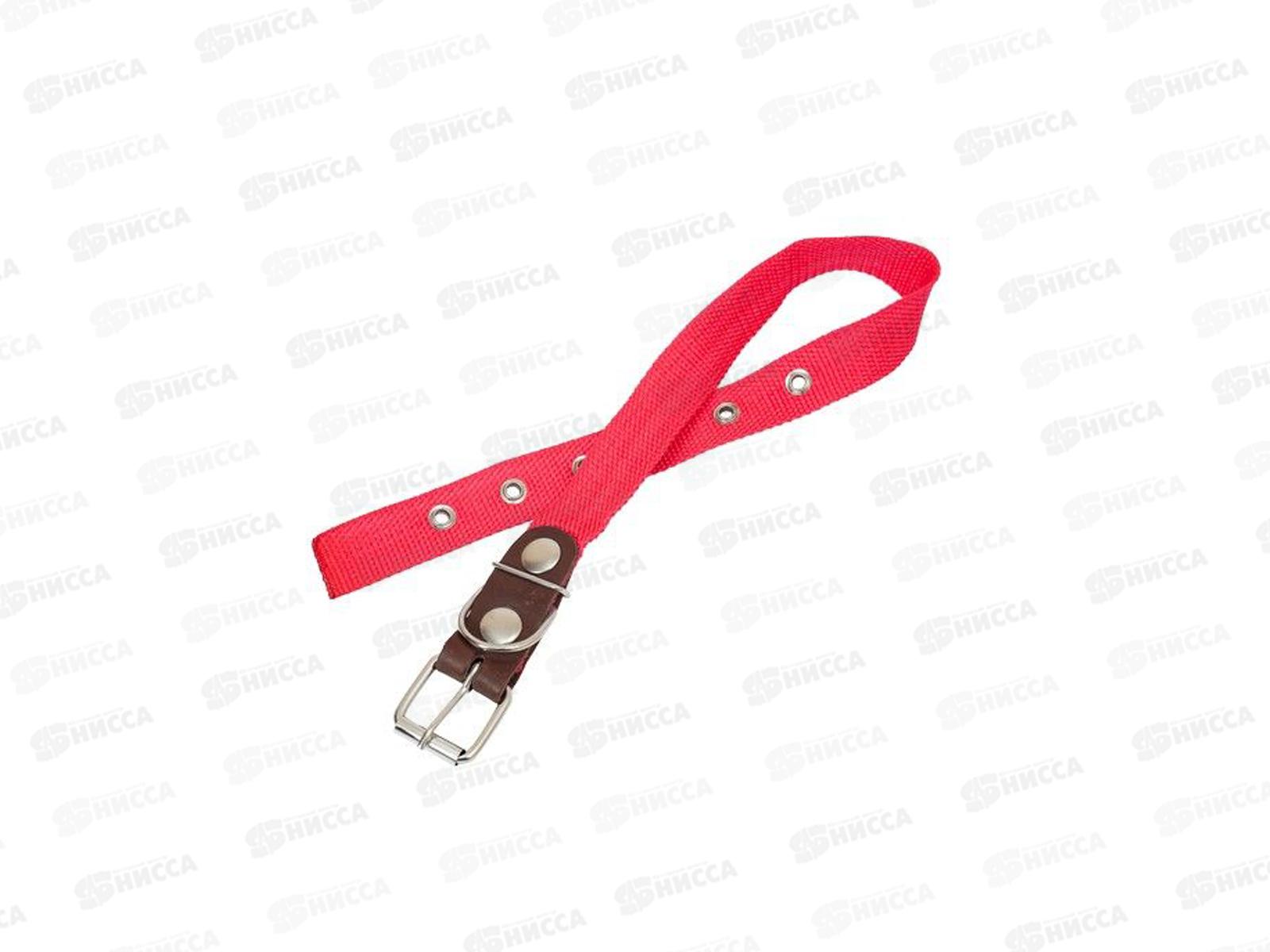 Ошейник ZooMoDa капроновый  25 (1) цветной 44943