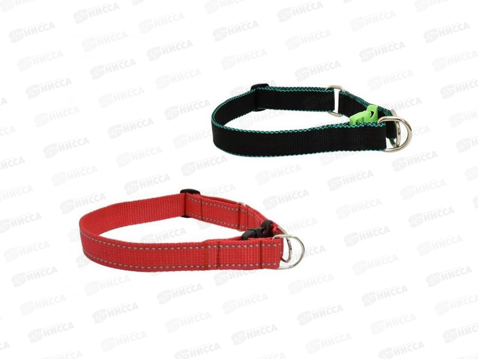 Ошейник ZooMoDa капроновый  25 с 2 кольцами 91623