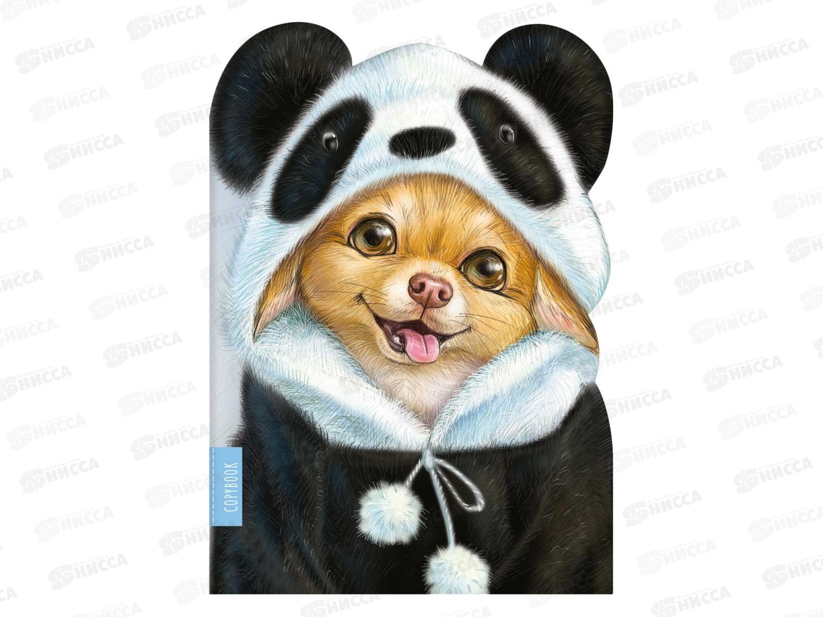 Тетрадь 40л кл. ФЕН Милый песик,62326*25