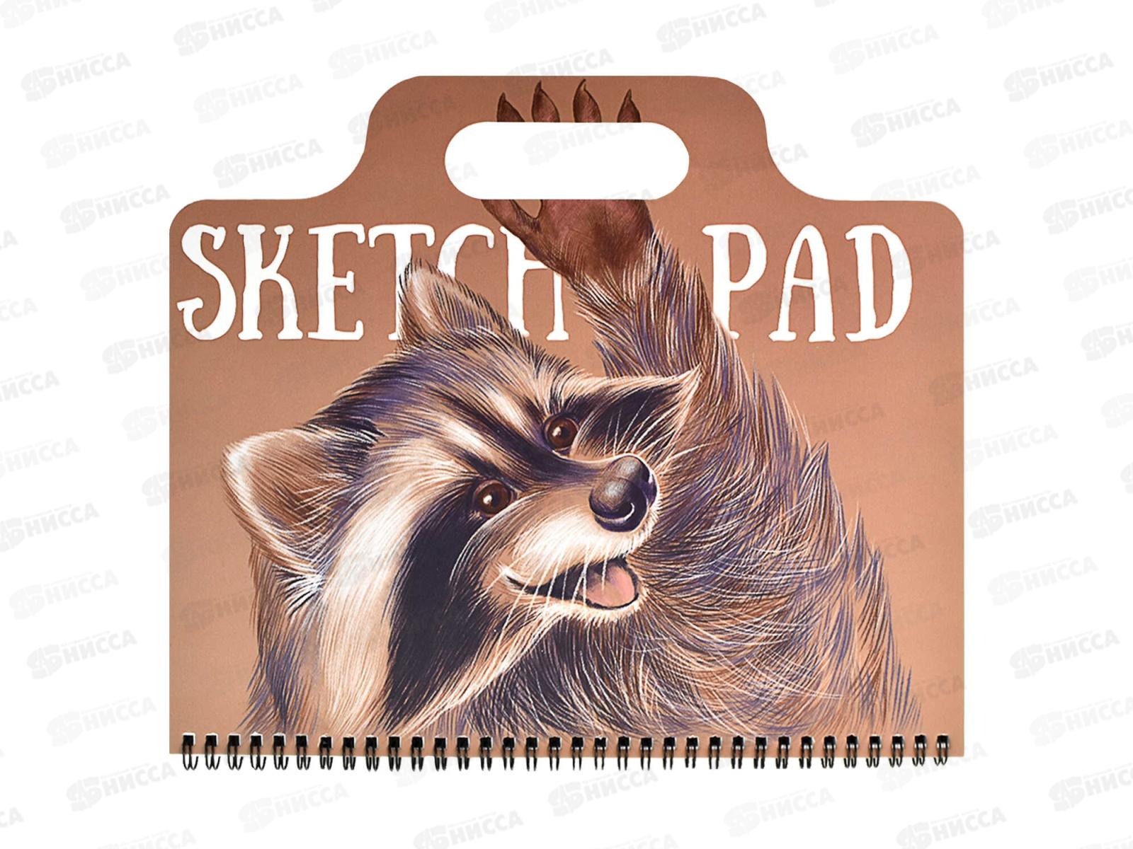 Скетчпад ФЕН 60листов Енот,59741*5/20