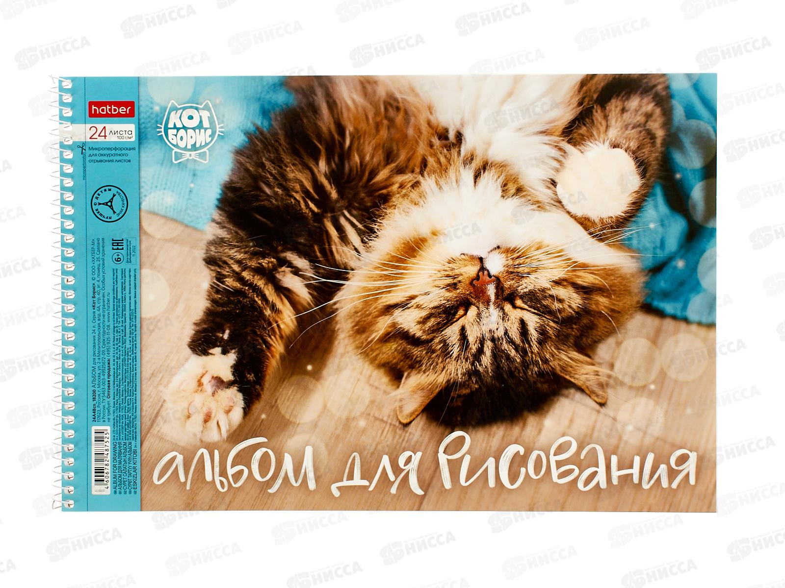 Альбом для рисования 24л Hatber Кот Борис,079771 *5/50