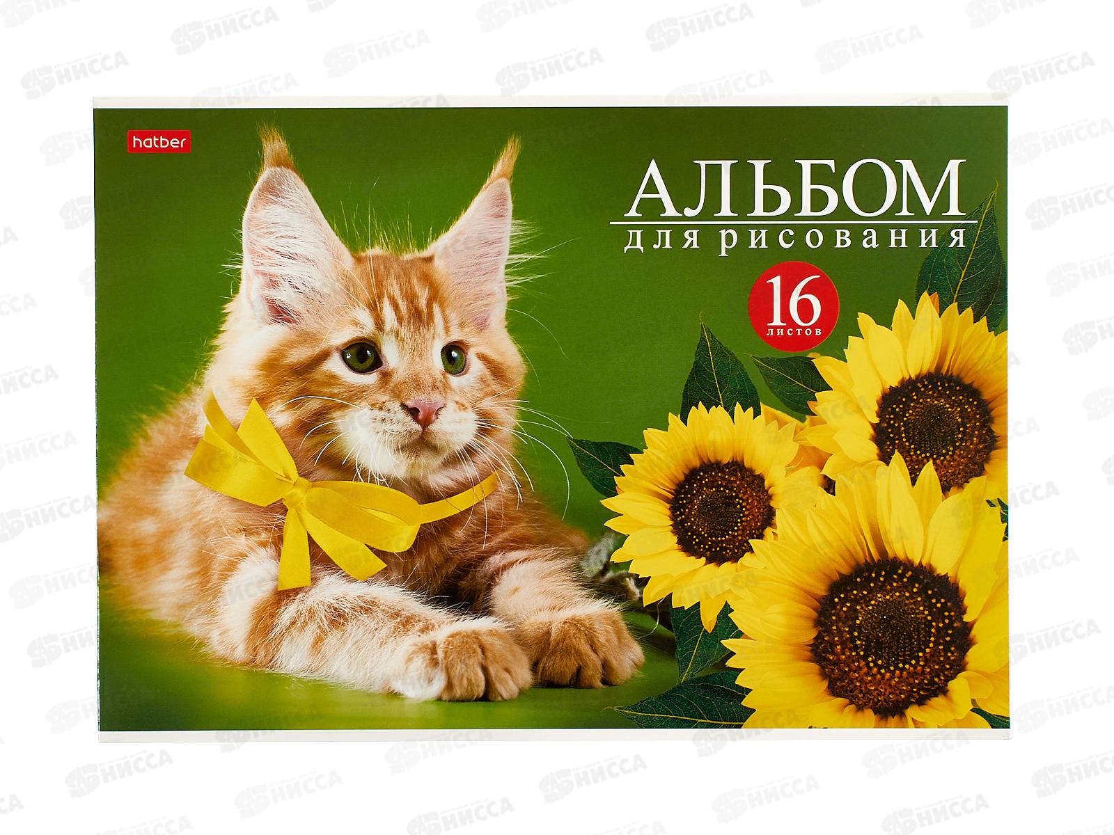 Альбом для рисования 16л Hatber На мягких лапах,079715*14/70