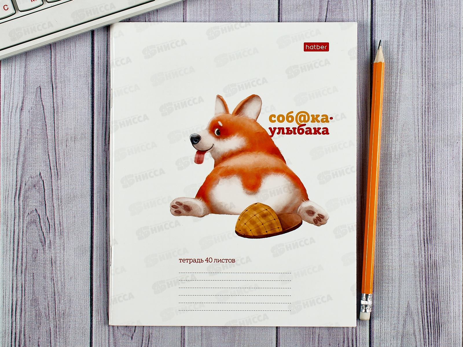 Тетрадь 40листов клетка  Hatber Собака-улыбака,079694 *10/100